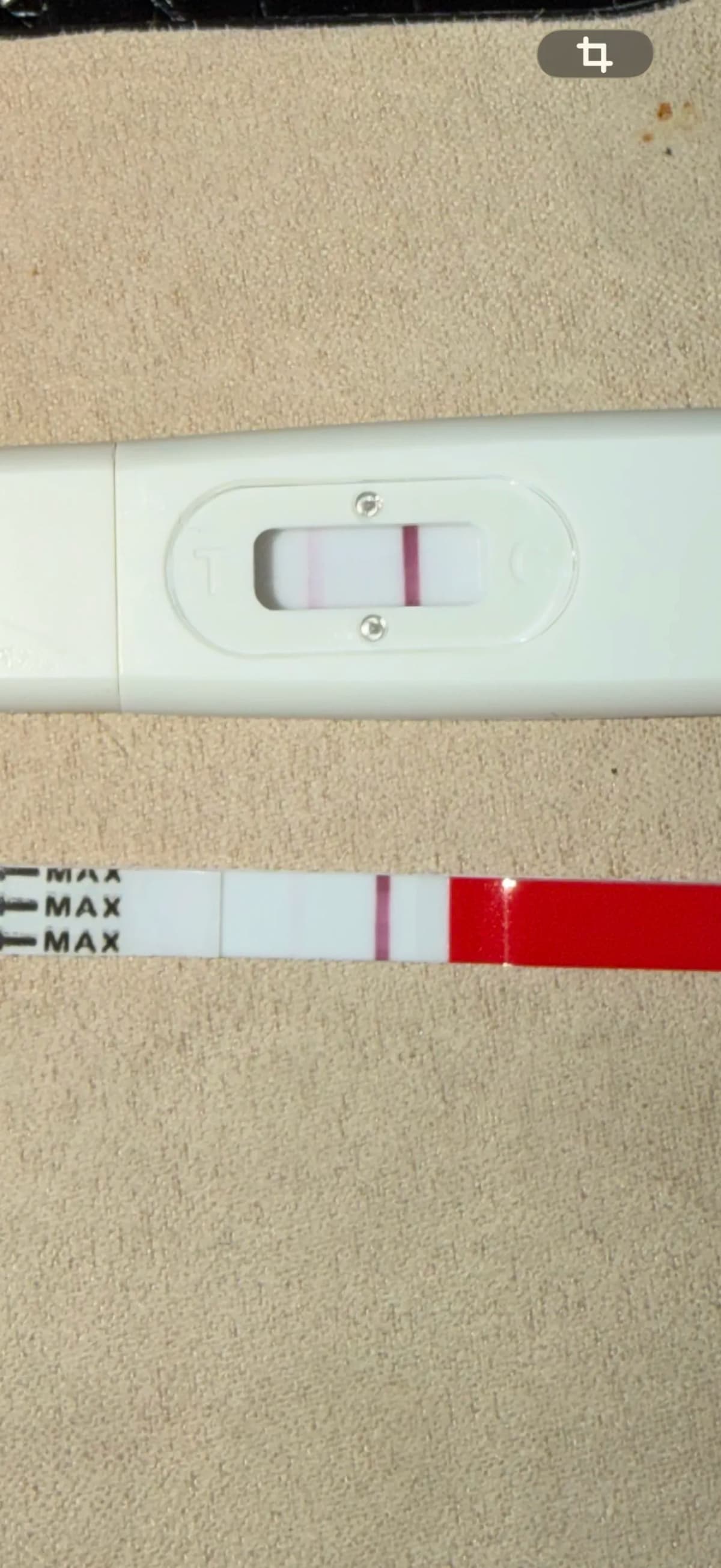 Gravid eller ovitrielle ??
