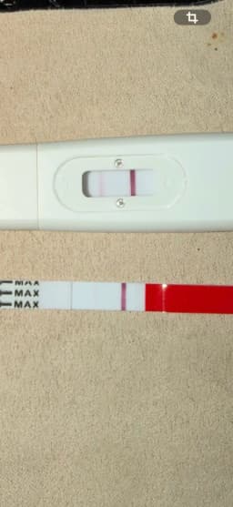 Gravid eller ovitrielle ??