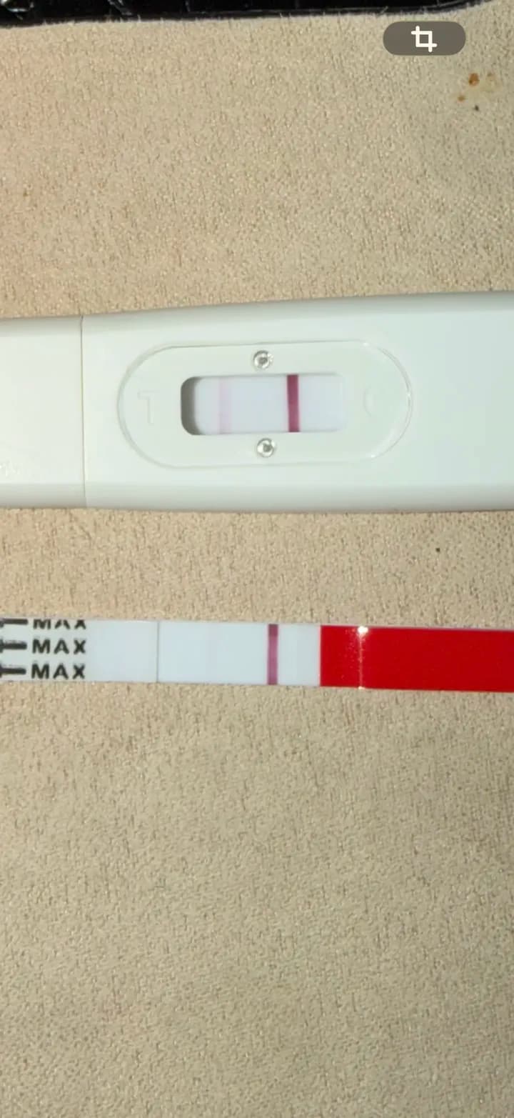 Gravid eller ovitrielle ??